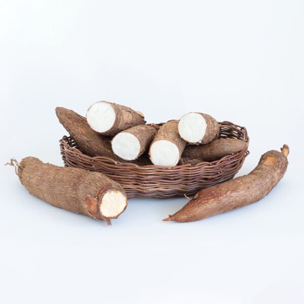 Manioc Frais