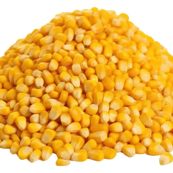 Granulés De Maïs
