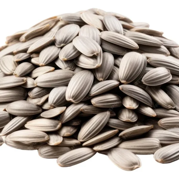 Graines De Tournesol