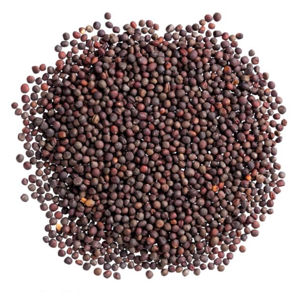 Graines De Moutarde