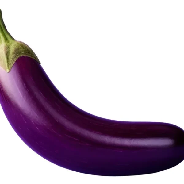 Aubergines violettes