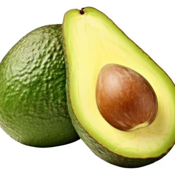 Avocat