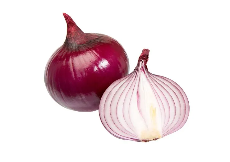 imgi_140_sliced-onion_362171-1893 Oignons Rouges - Image 1