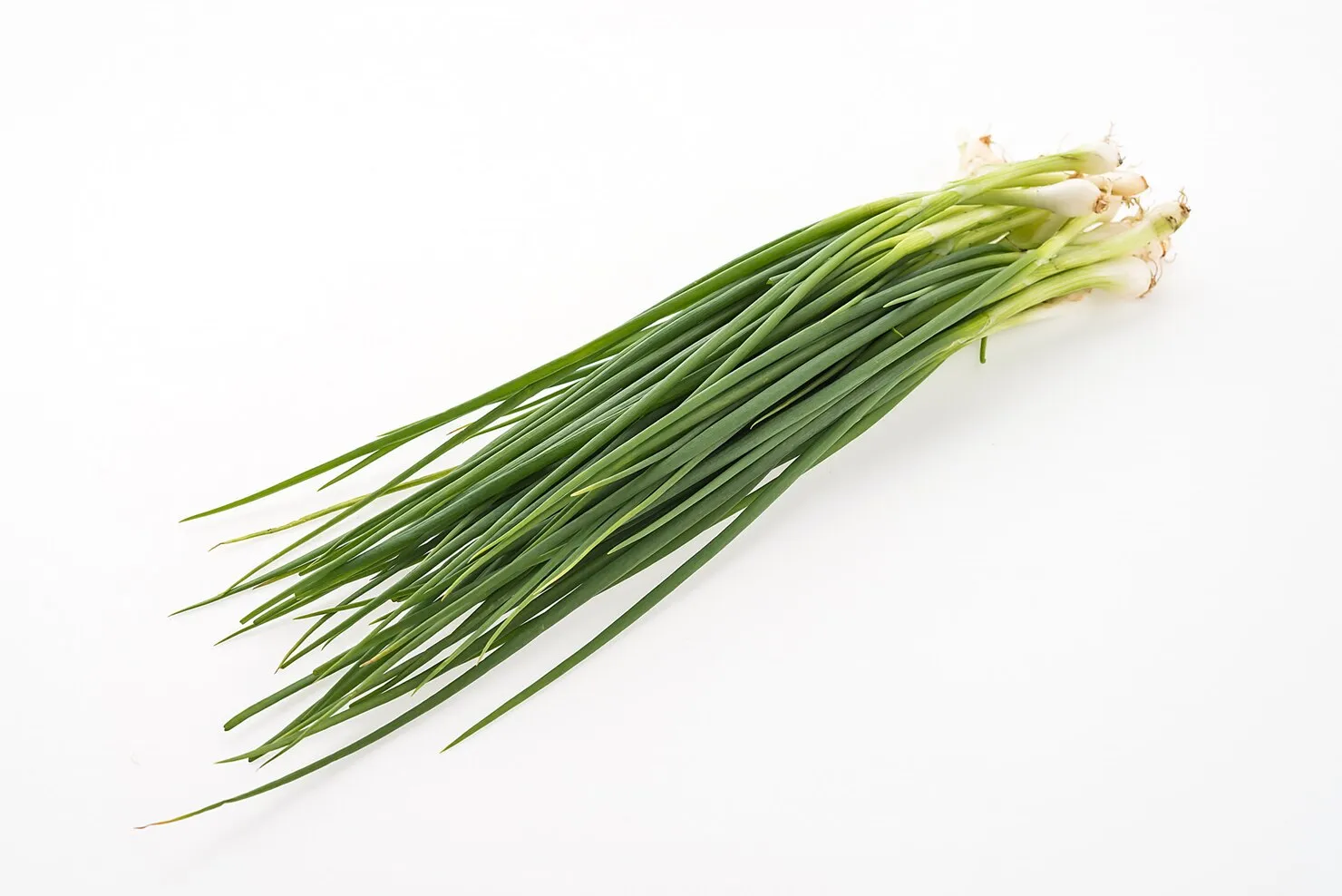 imgi_63_spring-onion-isolated-white-background_74190-2925 Feuille D’oignon - Image 1